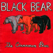 Black Bear: The Cinnamon Phase