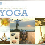 The Essential Guide to Yoga