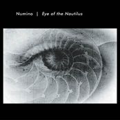 The Nautilus Chamber by Numina