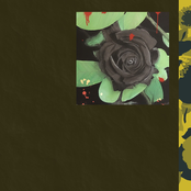 Dead Petals [Explicit]