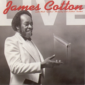 Eyesight To The Blind by James Cotton