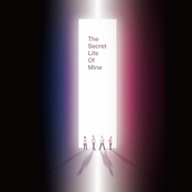 The Secret Life Of Mine [Explicit]