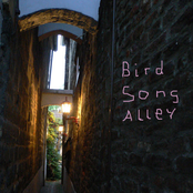 bird song alley