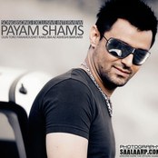 payam shams