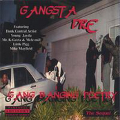 Gang Banging Poetry : The Sequel