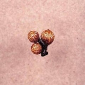 Und Die Scheibe Andert Sichimmer