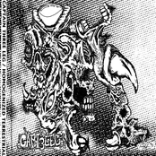 Captain Three Leg / Homogenized Terrestrials