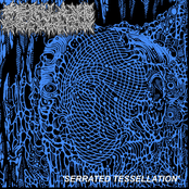 Serrated Tessellation