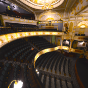 Strawberries & Stars (Global) - Single