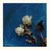 Превосходный синий