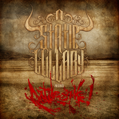 A Static Lullaby: Rattlesnake!