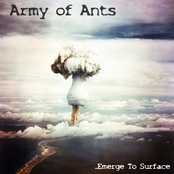 ...Emerge To Surface