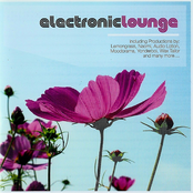 Electronic lounge