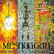 Meshuggah: Destroy Erase Improve
