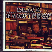 Black Knowledge