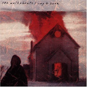 Long Black Veil by The Walkabouts