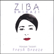 Ziba Shirazi: fresh breeze
