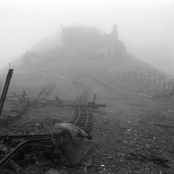 Trash Pile/Live Wire