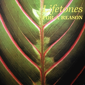 For A Reason by Lifetones