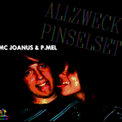 allzweck pinselset