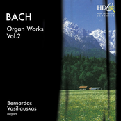 Organ Works, Vol.2