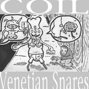 coil vs. venetian snares