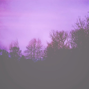 Lavender Skies