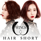 Hair Short - Single