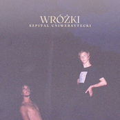 Wróżki - Single