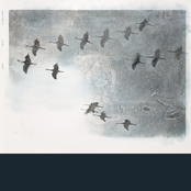 Stephen O'Malley: Gruidés