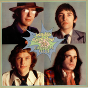 Old Buccaneer by The Incredible String Band