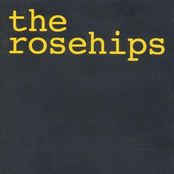 That Was Your Life by The Rosehips