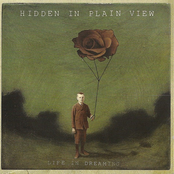 Hidden in Plain View: Life In Dreaming