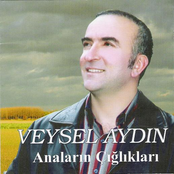 Veysel Aydın