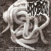 The Worms Crawl In... ...The W
