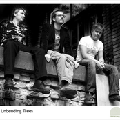 the unbending trees