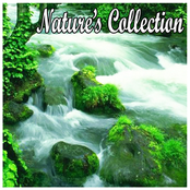 Natures Collection-Sounds for Spa, Yoga, Sleep, Massage, Healing, Tai Chi, Meditation and Relaxation