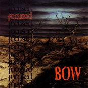 Bow by Focused
