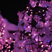 some new songs by the freewheelin contron