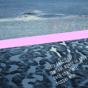 the fourth agent in blue