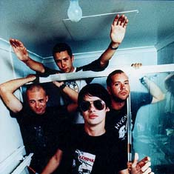 grinspoon