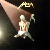 Everybody Wants You by Mesa