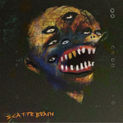 Scattrbrain: Bombs Away