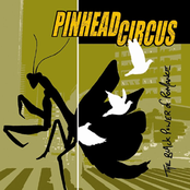 Got The Scars To Prove It by Pinhead Circus