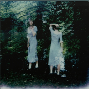 Don't Tell Iris: Chamomile