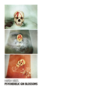 Psychedelic Gin Blossoms