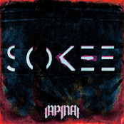 Sokee