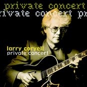 Spring Will Be A Little Late This Year by Larry Coryell