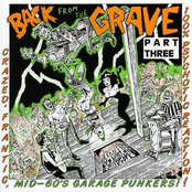 Back From The Grave Vol. 3