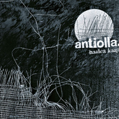 Niteetön by Antiolla